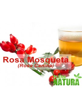 Óleo de Rosa Mosqueta (Rosa Canina)
